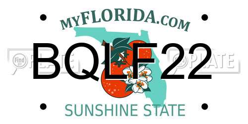BQLF22 Florida License Plate