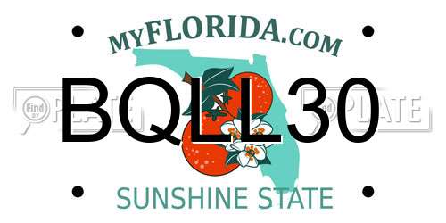 BQLL30 Florida License Plate