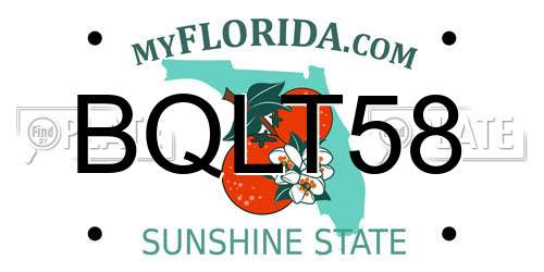 BQLT58 Florida License Plate