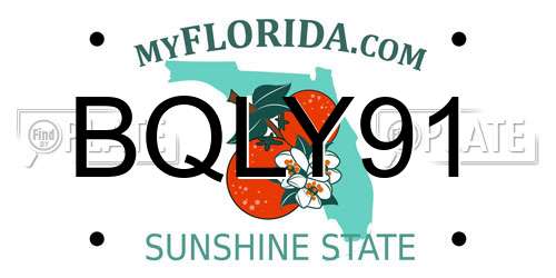 BQLY91 Florida License Plate