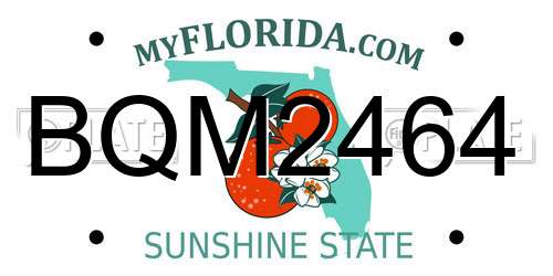 BQM2464 Florida License Plate