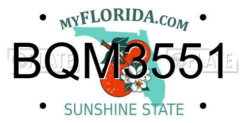 BQM3551 Florida License Plate