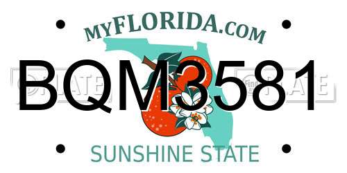 BQM3581 Florida License Plate