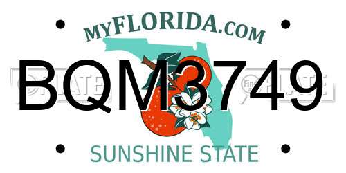 BQM3749 Florida License Plate