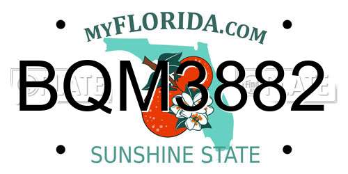 BQM3882 Florida License Plate