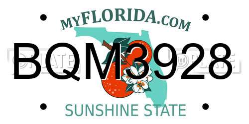 BQM3928 Florida License Plate