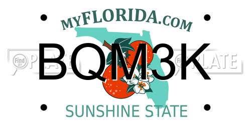BQM3K Florida License Plate