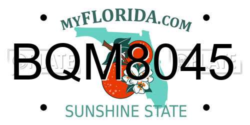 BQM8045 Florida License Plate