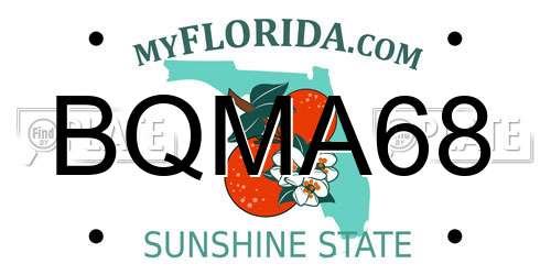 BQMA68 Florida License Plate
