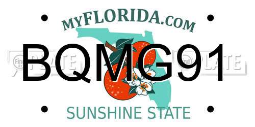 BQMG91 Florida License Plate