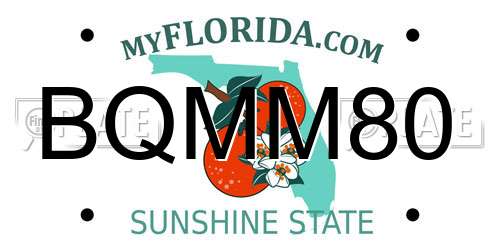 BQMM80 Florida License Plate
