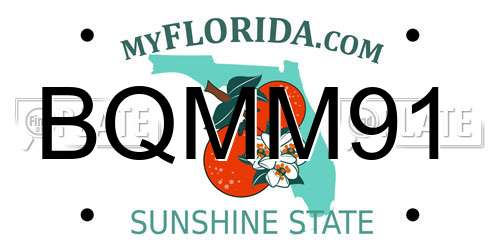 BQMM91 Florida License Plate