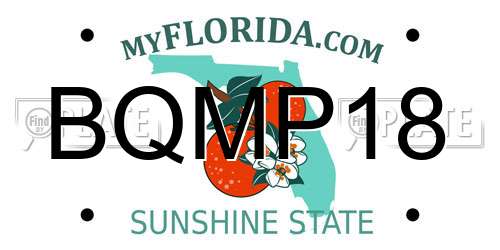 BQMP18 Florida License Plate