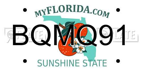 BQMQ91 Florida License Plate