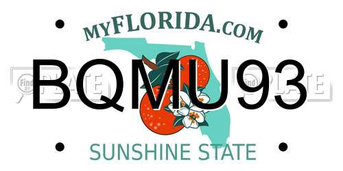 BQMU93 Florida License Plate