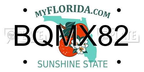 BQMX82 Florida License Plate