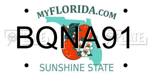 BQNA91 Florida License Plate