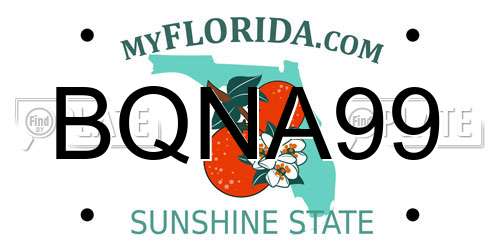 BQNA99 Florida License Plate
