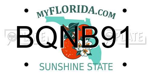 BQNB91 Florida License Plate