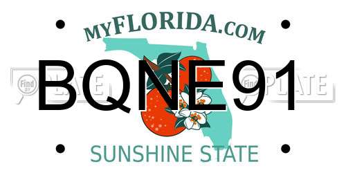 BQNE91 Florida License Plate