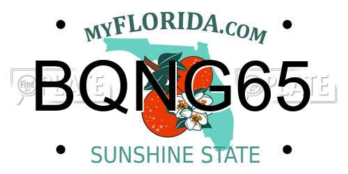 BQNG65 Florida License Plate