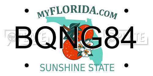 BQNG84 Florida License Plate