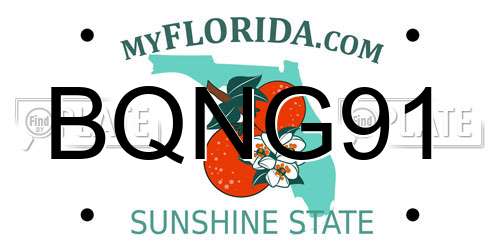 BQNG91 Florida License Plate