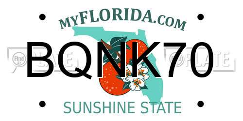 BQNK70 Florida License Plate