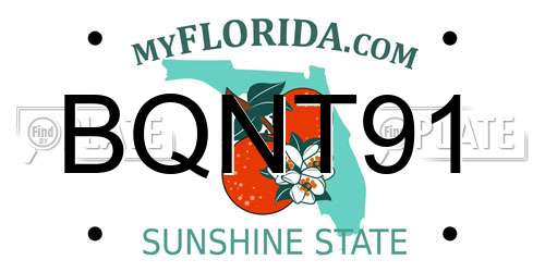 BQNT91 Florida License Plate