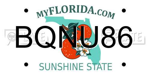 BQNU86 Florida License Plate