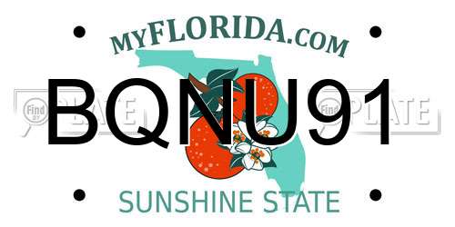 BQNU91 Florida License Plate