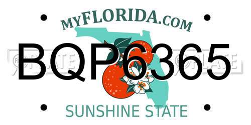 BQP6365 Florida License Plate