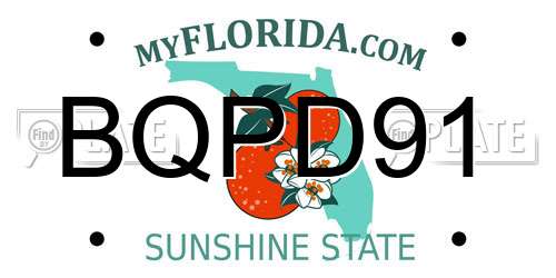 BQPD91 Florida License Plate
