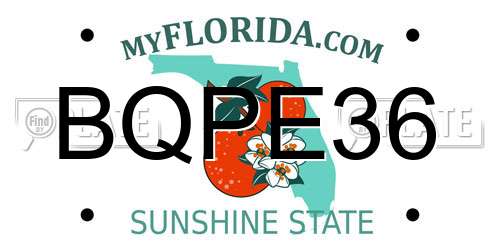 BQPE36 Florida License Plate
