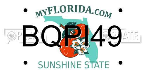 BQPI49 Florida License Plate