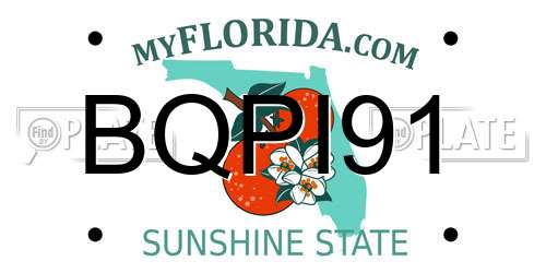 BQPI91 Florida License Plate