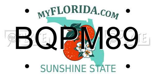 BQPM89 Florida License Plate