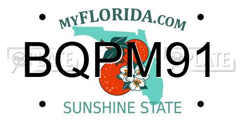BQPM91 Florida License Plate