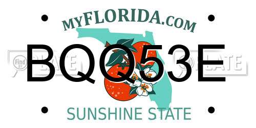 BQQ53E Florida License Plate