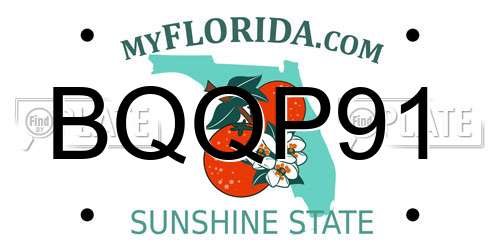 BQQP91 Florida License Plate