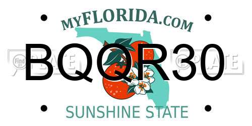 BQQR30 Florida License Plate