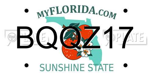 BQQZ17 Florida License Plate