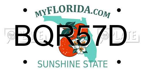 BQR57D Florida License Plate