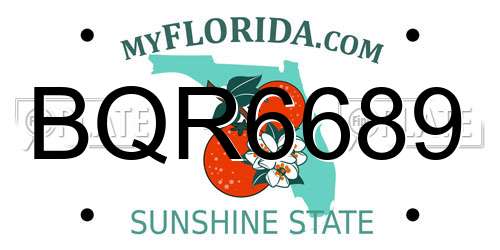 BQR6689 Florida License Plate