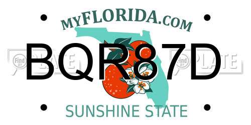 BQR87D Florida License Plate