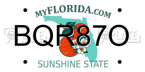 BQR87O Florida License Plate