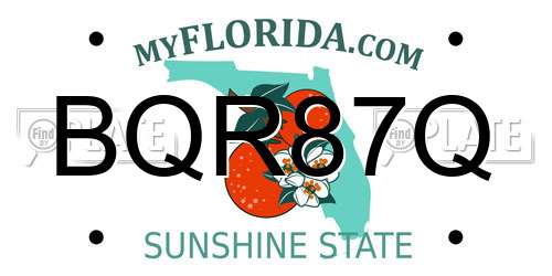 BQR87Q Florida License Plate
