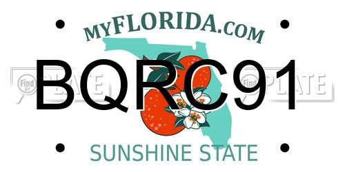 BQRC91 Florida License Plate