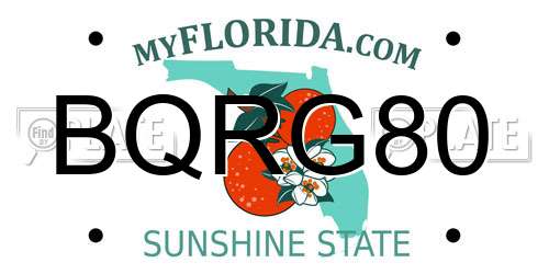 BQRG80 Florida License Plate
