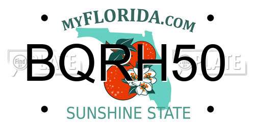 BQRH50 Florida License Plate